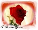 love moun amour
